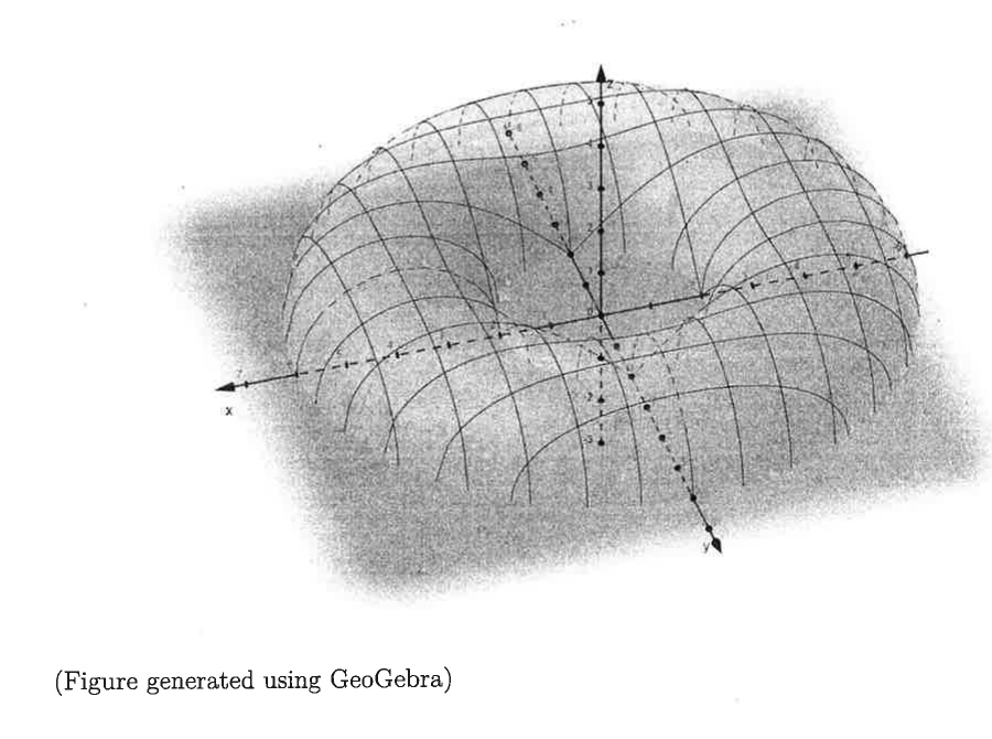 環面通量圖